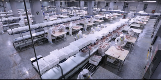 ABUIABAEGAAg45qCrgYowI3P9AMwqgQ4lQI